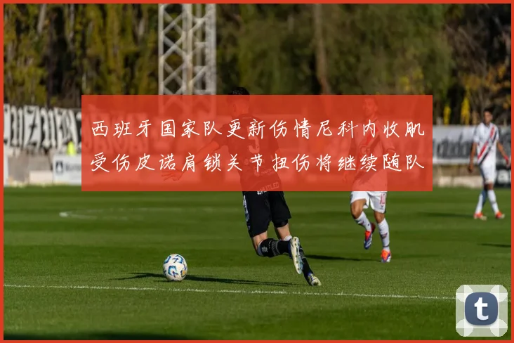 西班牙国家队更新伤情尼科内收肌受伤皮诺肩锁关节扭伤将继续随队训练