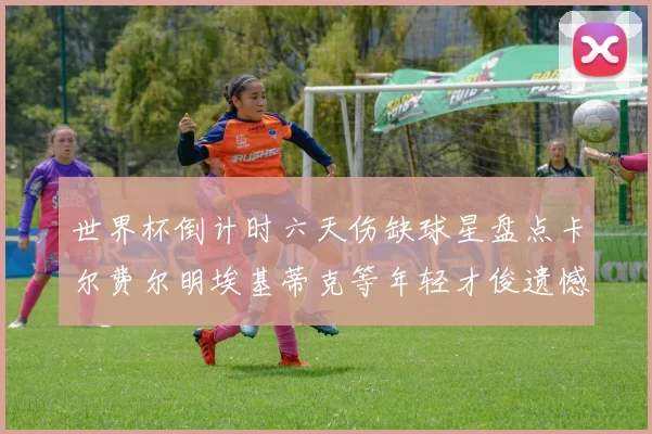 世界杯倒计时六天伤缺球星盘点卡尔费尔明埃基蒂克等年轻才俊遗憾缺席